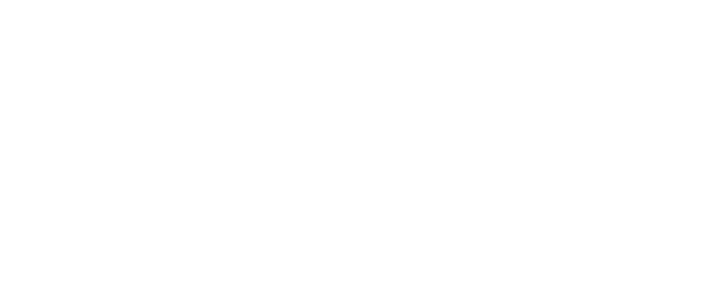 Logo Stonest Blanc