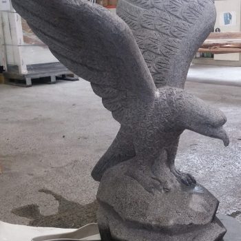 Aigle